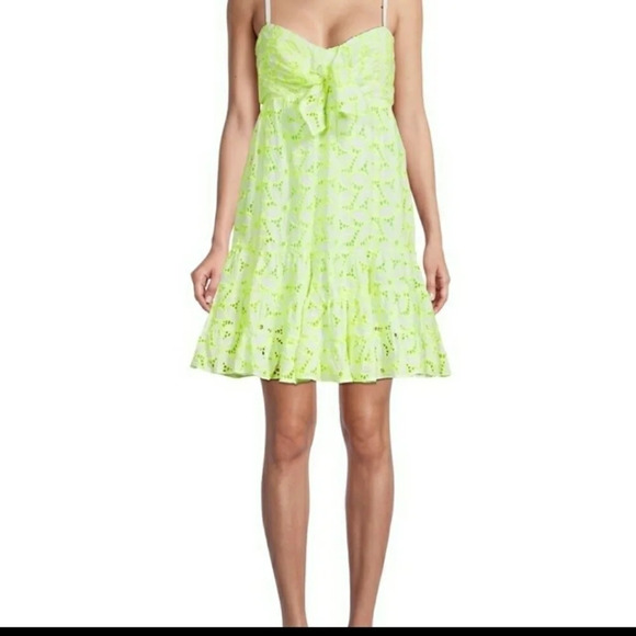 LILLY Pulitzer Brianna Dress Fit & Flare Pepino Green Mamba Eyelet 4 NWT - Picture 1 of 10
